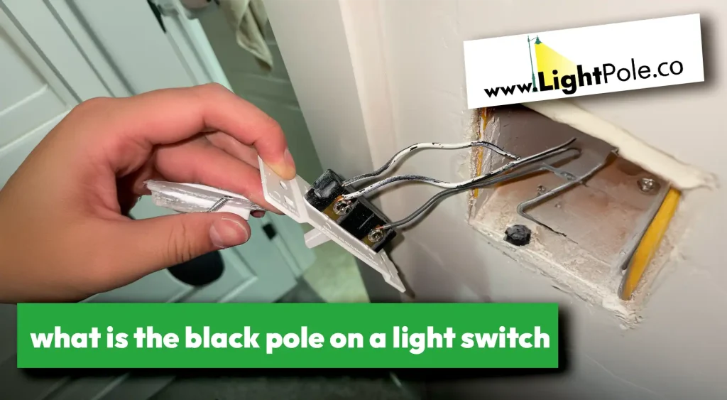 what is the black pole on a light switch